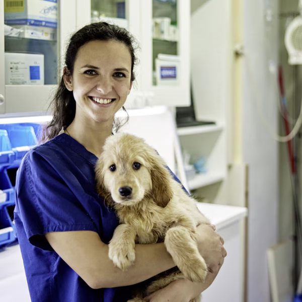 sk-fachwirt-gesundheitswesen-sozialwesen-03